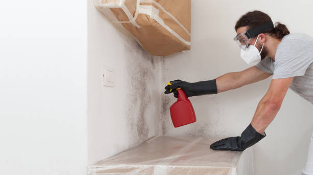 Professional Black Mold Remediation technician working in Fords, NJ