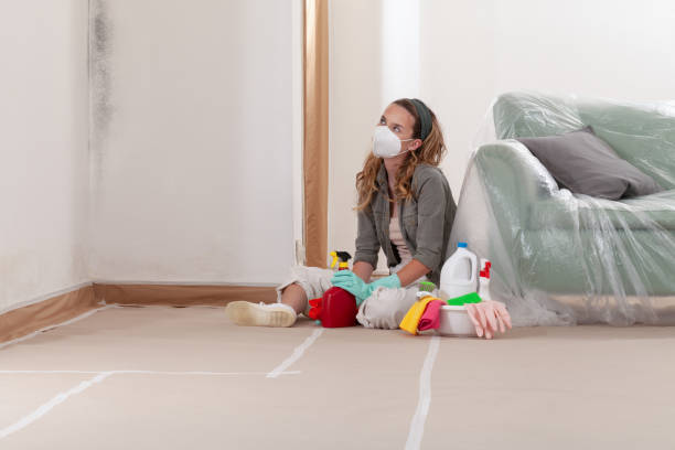 Reliable Black Mold Remediation contractor in Fords, NJ by Car Mold Remediation